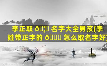 李正取 🦁 名字大全男孩(李姓带正字的 🐅 怎么取名字好)